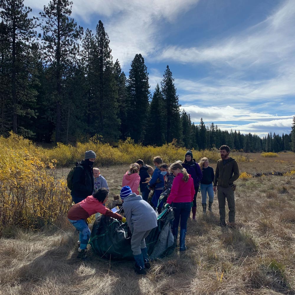 bringing woody debris into the wetlands to help prevent erosion