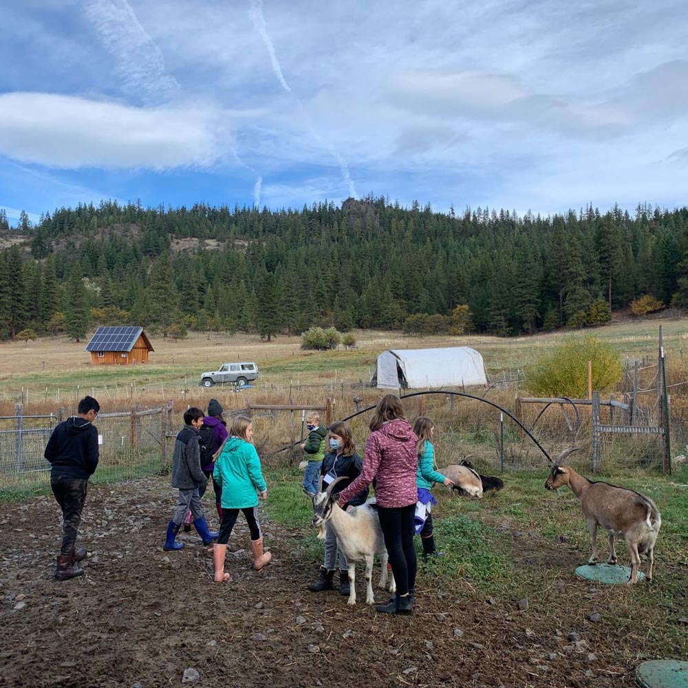 children with goats during school field trip
