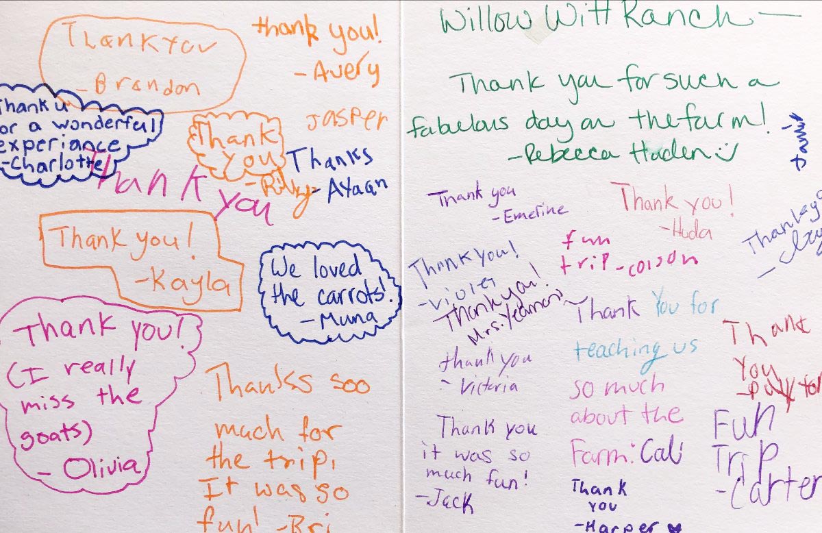 thank you card from school field trip group