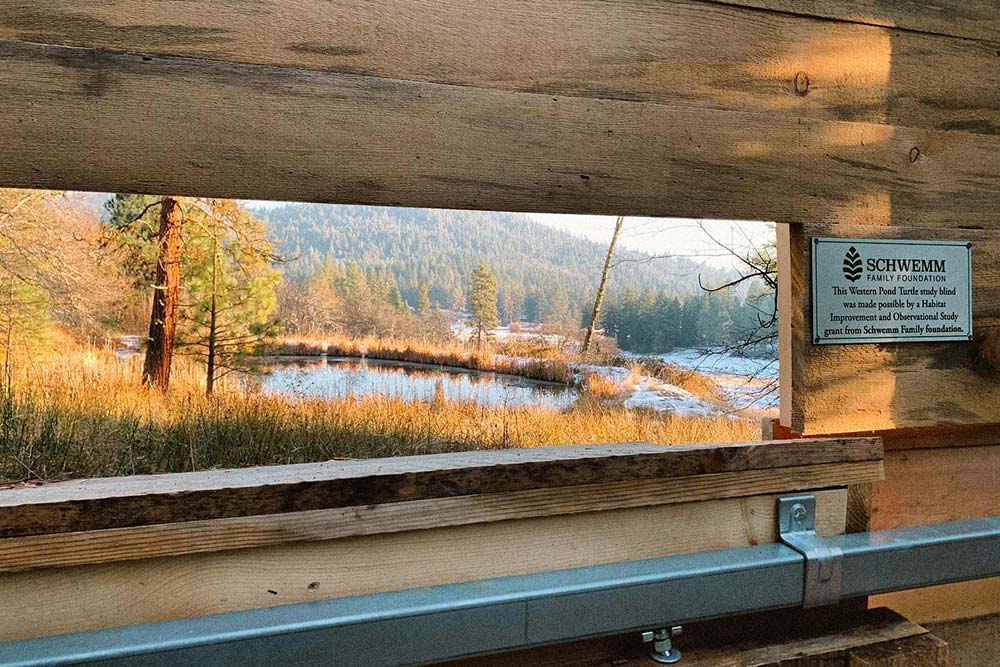 bird blind structure for observing nature