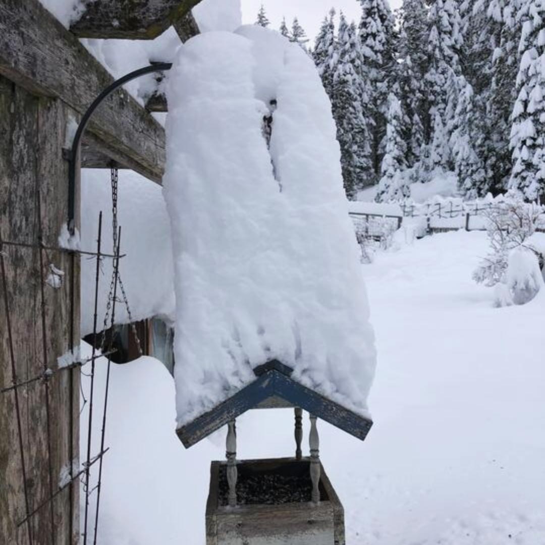 snow hat on top of bird feeder