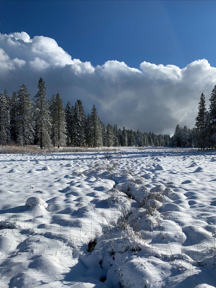 snowy wetlands at The Crest at Willow-Witt Ranch