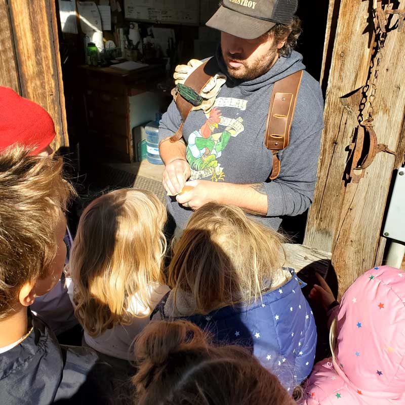 staff teaches gathered students about fresh chicken eggs