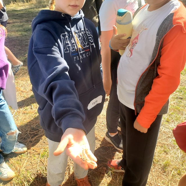 student displays butterfly resting on her hand