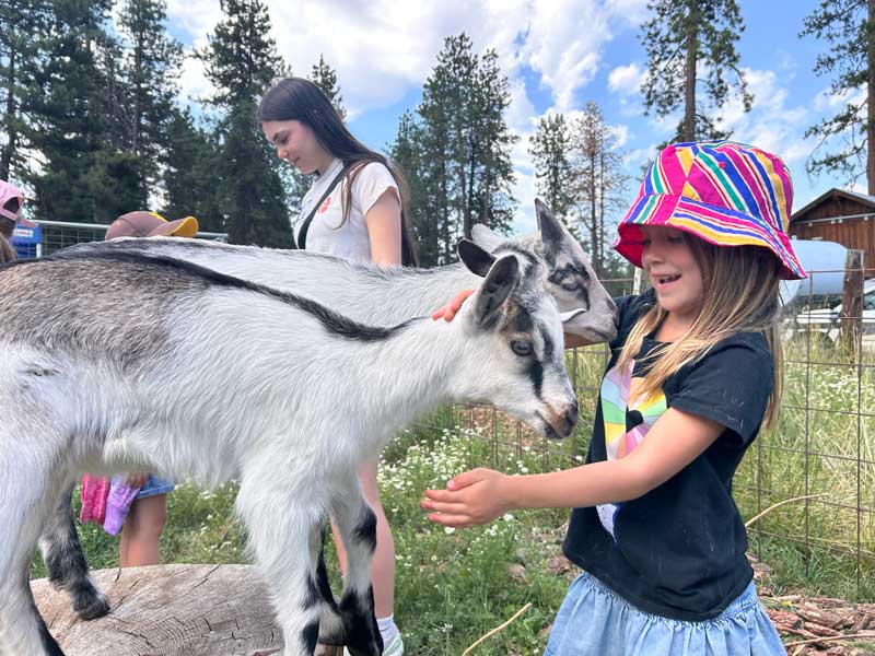 girl in colorful bucket hat pets baby goata