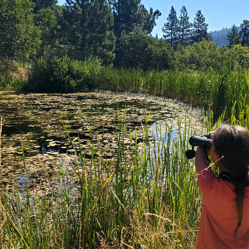 a student looks through binoculars at turtle pond
