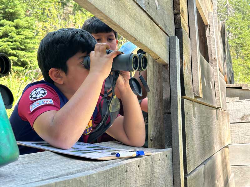 boy looking through binoculars at turtle pond blind