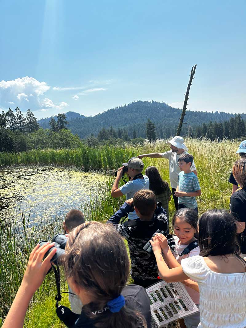 students and staff at turtle pond looking for turtles