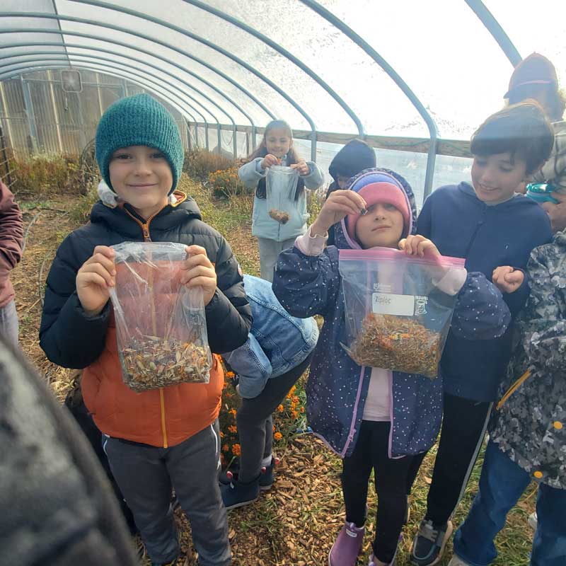 children in garden hoop house proudly display bags of collected seeds