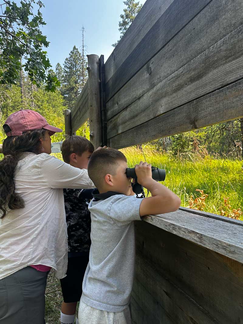 students using binoculars to view western pond turtles at turtle pond blind