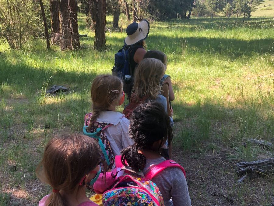 summer campers on walk around Willow-Witt Ranch