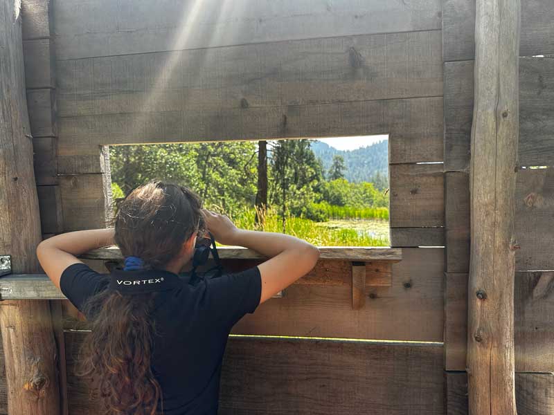 Nature Day Camper behind Turtle Blind looks through binoculars for turtles