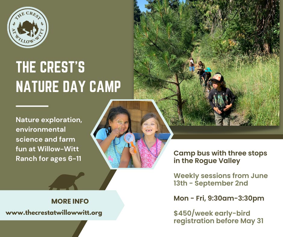 The Crest Nature Day Camps summer 2022