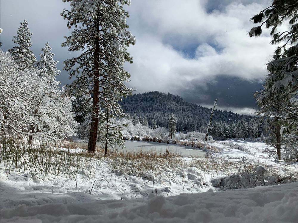 turtle pond in winter at The Crest at Willow-Witt Ranch