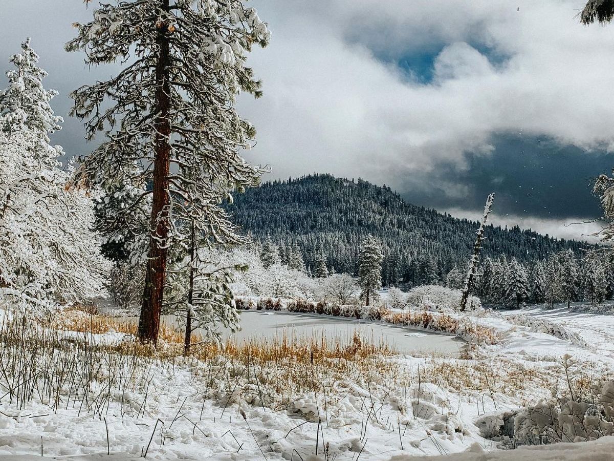 winter snow at Willow-Witt Ranch