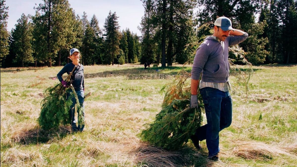 restoration work parties at The Crest