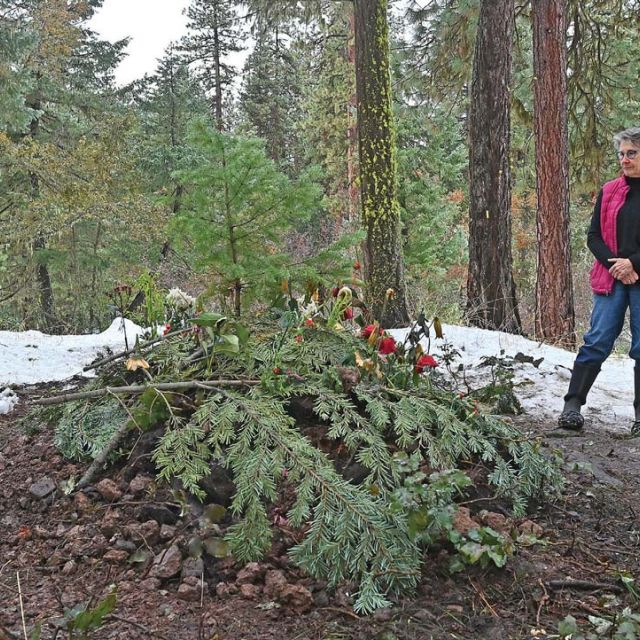 Suzanne Willow visits the gravesite of Dr. Lanita Witt at Willow-Witt Ranch on Thursday. Photo by Jamie Lusch, Mail Tribune.
