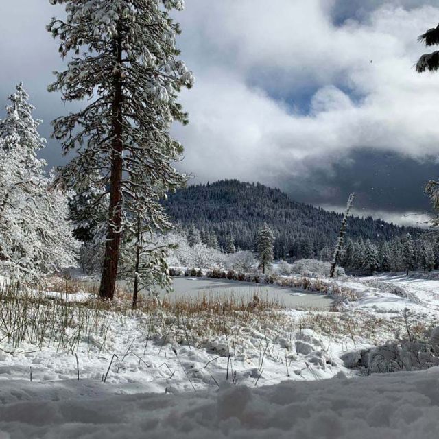 turtle pond in winter at The Crest at Willow-Witt Ranch