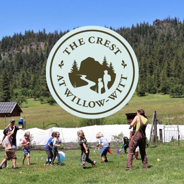 The Crest summer camp children playing in a field