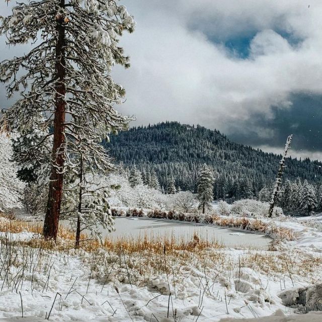 winter snow at Willow-Witt Ranch