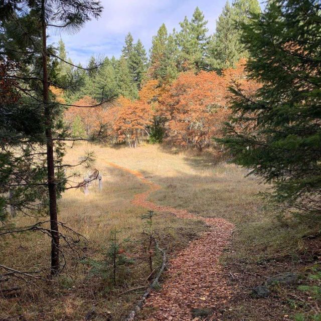 Turtle Trot trail race path covered in mulch