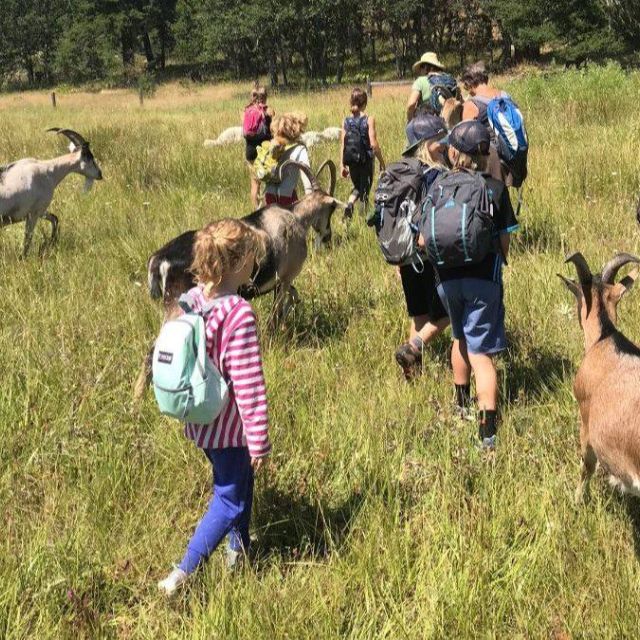 goat hike