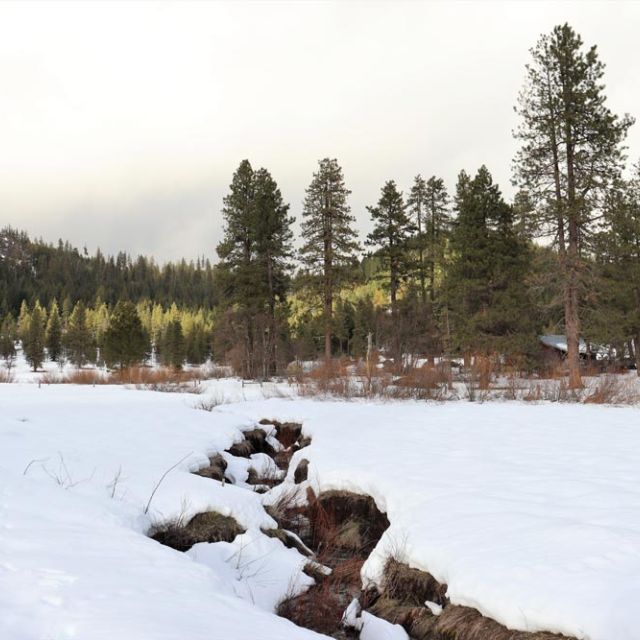 snowy meadow with creek running through