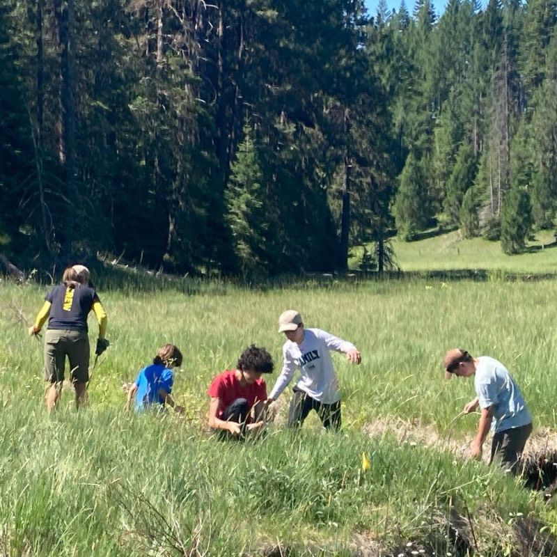 Upland Stewards Corps volunteers work party