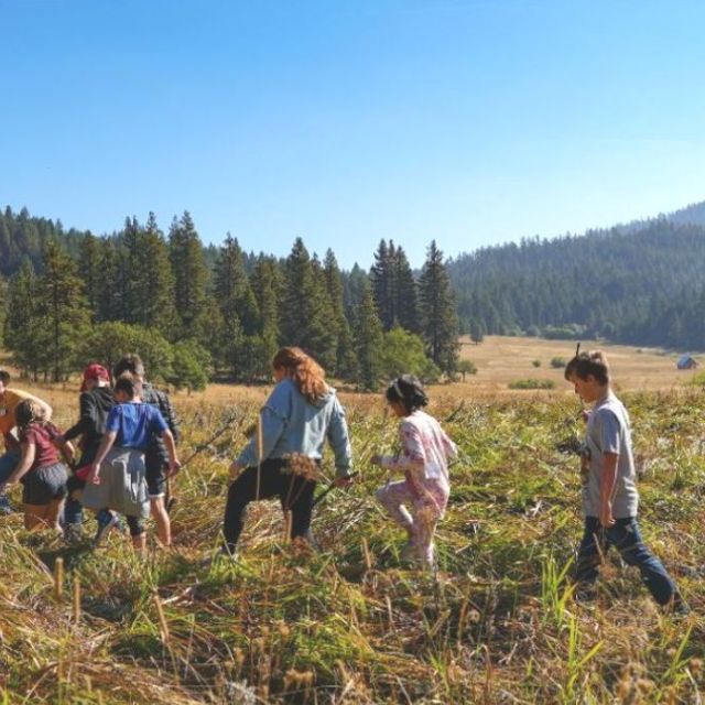 Outdoor School students walking through Willow-Witt Ranch meadow