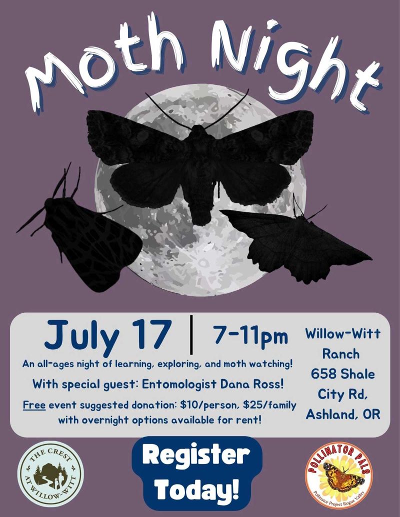 Moth Night flyer