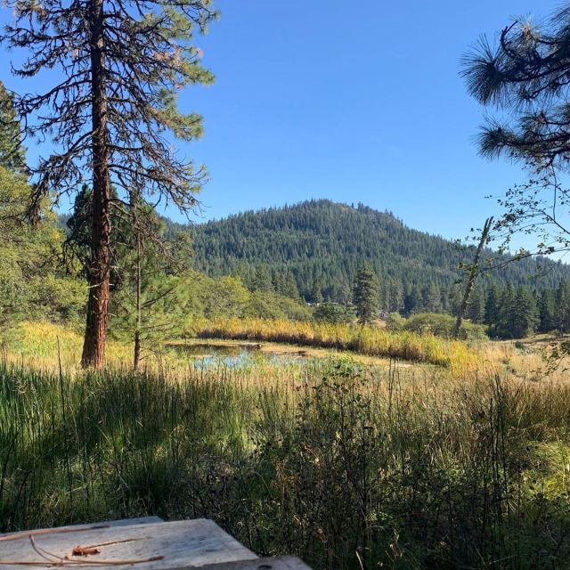 Willow-Witt Ranch pond