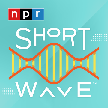NPR Short Wave