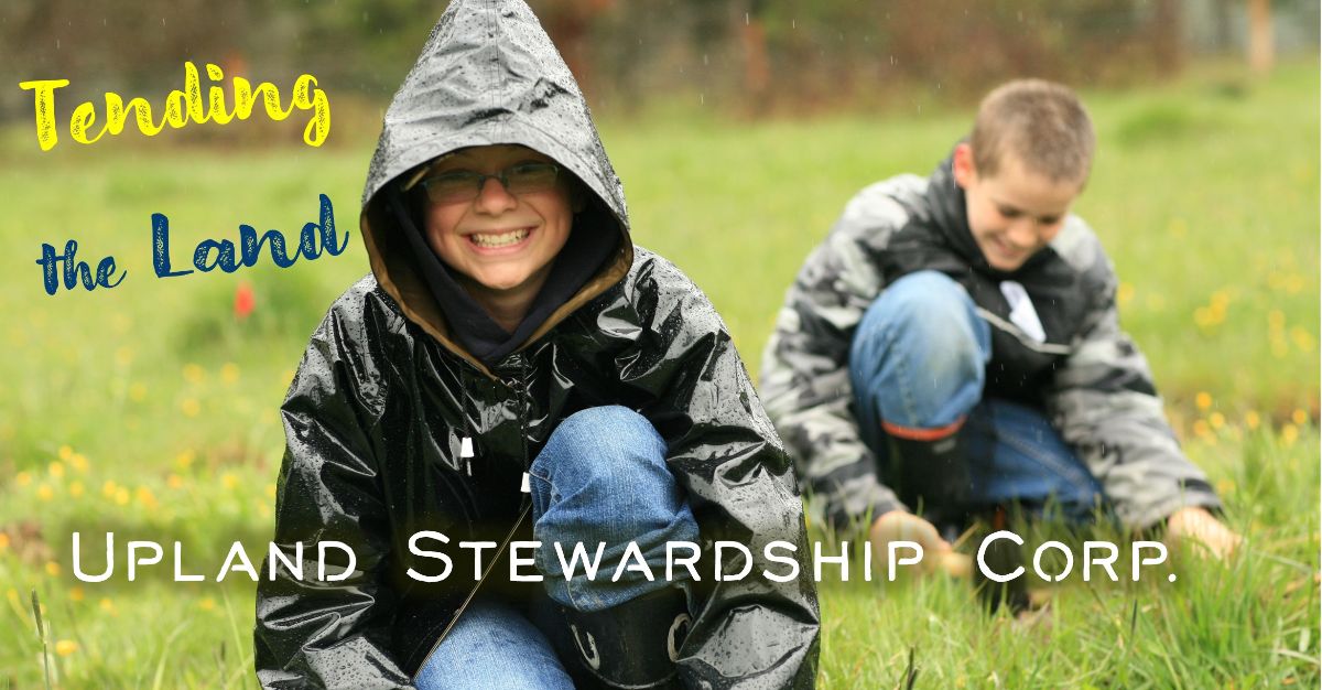 youth volunteering summer program
